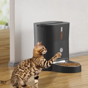 Katten Voederautomaat - 3 liter - 1 tot 6 maaltijden per dag - Zwart - Type BAL/AM