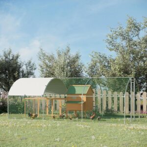 Kippen Ren XXL - 280x570x197 cm - voor 12 - 18 Kippen - Type PAW/AM