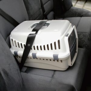 Katten Transport Bench - Taupe/creme - 45x30x30 cm (LxBxH) - Type KER/AM