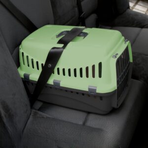 Katten Transport Bench - Groen/donkergrijs - 45x30x30 cm (LxBxH) - Type KER/AM