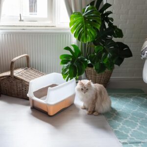 Kattentoilet met draagbeugel en schep - 48,5x38x30 cm (lxdxh) - taupe - Type IRI/AM