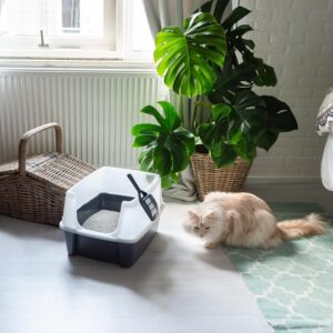 Kattentoilet met draagbeugel en schep - 48,5x38x30 cm (lxdxh) - grijs - Type IRI/AM