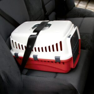 Katten Transport Bench - Rood/wit - 45x30x30 cm (LxBxH) - Type KER/AM