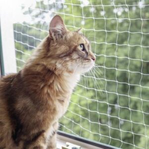 Katten Veiligheidsnet - 600x300 cm - GEN/AM