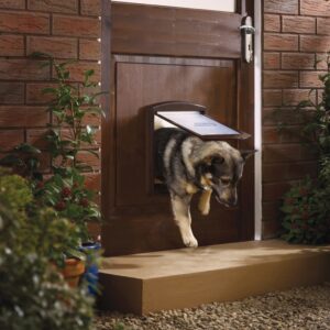 Huisdierenluik in 2 richtingen - medium - 35,2x29,4 cm - bruin - Type PET/AM