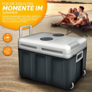 Koelbox met wieltjes - 40 liter - 230 V en 12 V - met eco-modus - grijs - Type TIL/AM