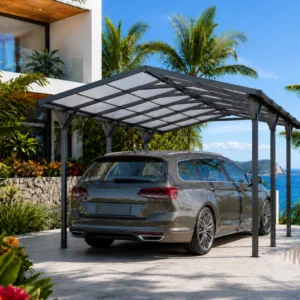 Carport - Puntdak - 500x300 cm - Aluminium- Antraciet