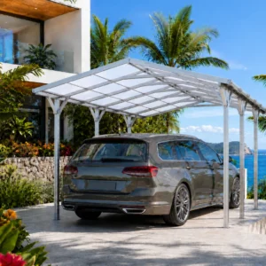 Carport - Puntdak - 500x300 cm - Aluminium