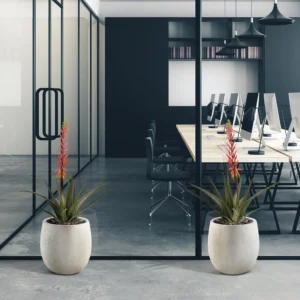 Aloe Vera Kunstplant - 75 cm - Rood