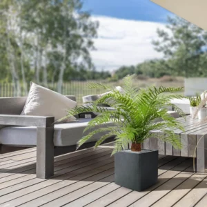 Alsophillis Varen kunstplant 80 cm in pot - UV bestendig