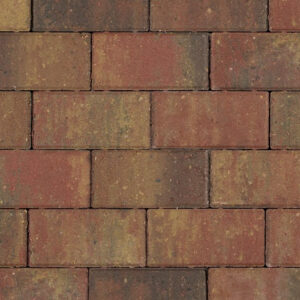 Betonstraatsteen - oud bont - 21x10.5 cm - door en door gekleurd