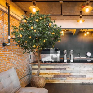 Sinaasappel kunstboom Giant - 275 cm