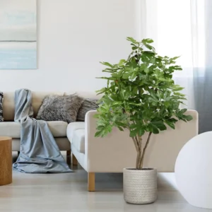 Vijgen kunstboom - 120 cm