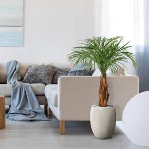 Kunstpalm Areca op stam - 120 cm