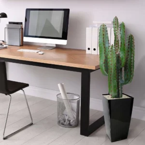 Euphorbia Kunstplant - 70 cm