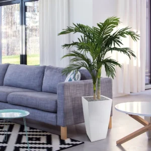 Kunstpalm Golden Cane - 120 cm