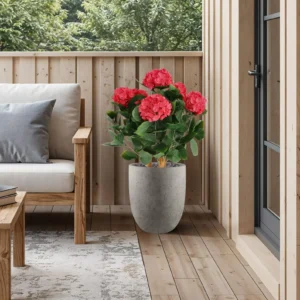 Bloesem Planten Buiten