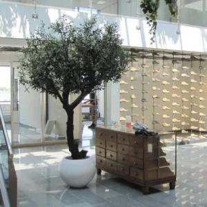 Olijf Giant Y stam kunstboom - 270 cm