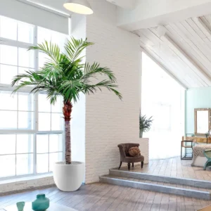 Kunstpalm Majesty Giant - 350 cm