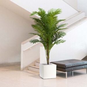 Planten/Bomen