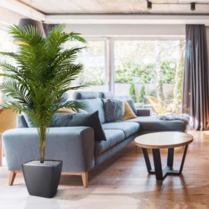 Kunstpalm Paradize - 180 cm