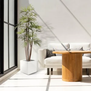 Kunstpalm Raphis - 170 cm