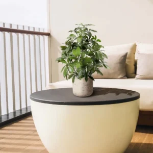 Schafflera kunstplant 50 cm in pot - UV bestendig