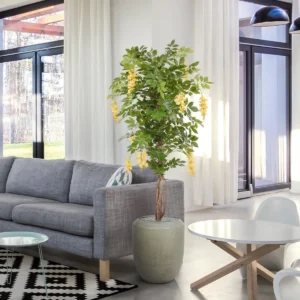 Bloesem Planten Binnen