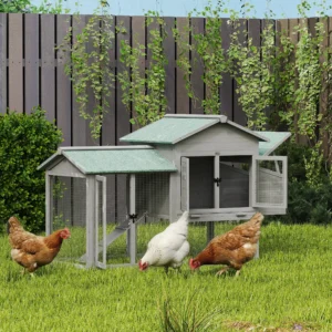 Kippenhok - 2 tot 4 kippen